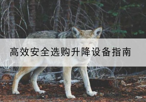 金沙升降货梯厂家推荐-*安全选购升降设备指南