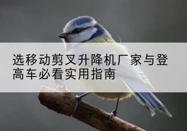 金沙电动升降机厂家-选移动剪叉升降机厂家与登高车必看实用指南