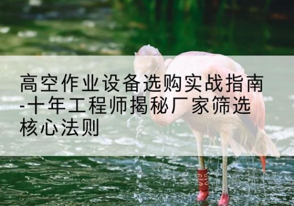 金沙剪叉式升降机厂家-高空作业设备选购实战指南-十年工程师揭秘厂家筛选核心法则